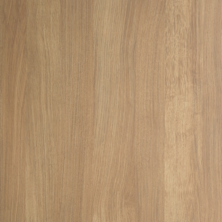 LY-BH043 【沙丘橡木(山)】